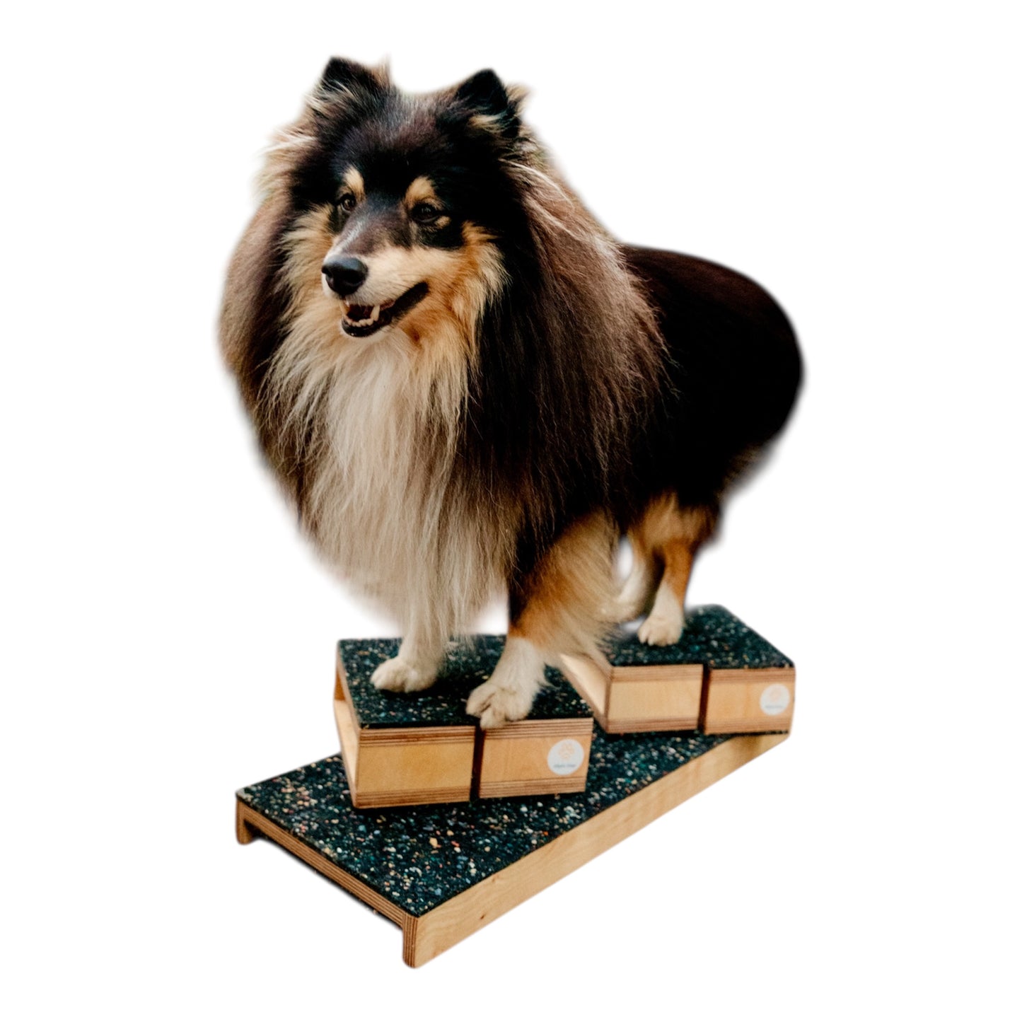 Multi-Board Birke