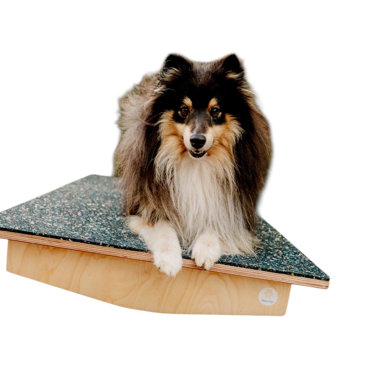 Basic Balance Birke
