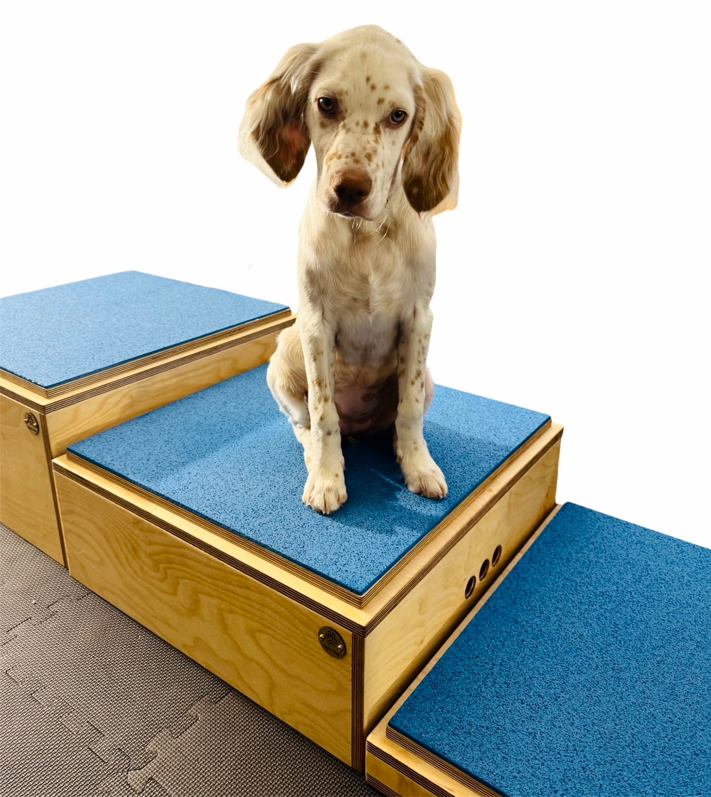 Plyo4Dogs Jumpboxen
