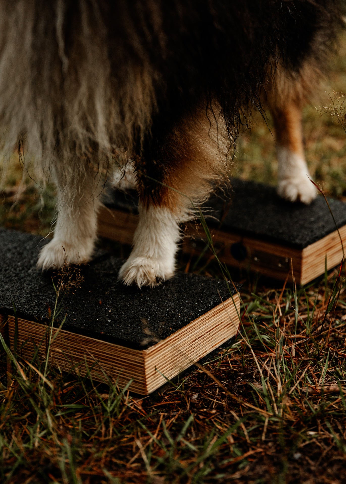 Multi-Mini 4-in-1 Birke