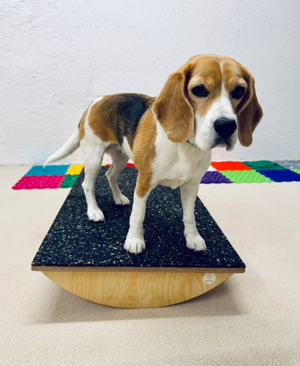 Balance Boards