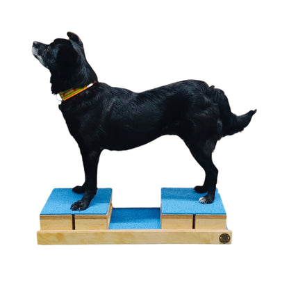 Multi-Board Birke