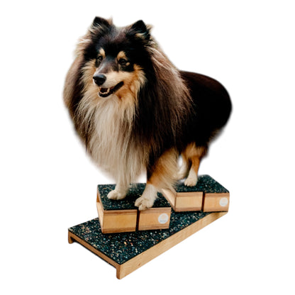 Multi-Board Birke