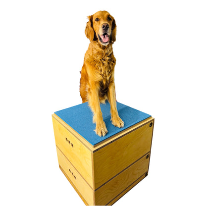 Plyo4Dogs Jumpboxen
