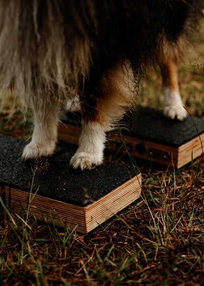 Multi-Mini 4-in-1 Birke